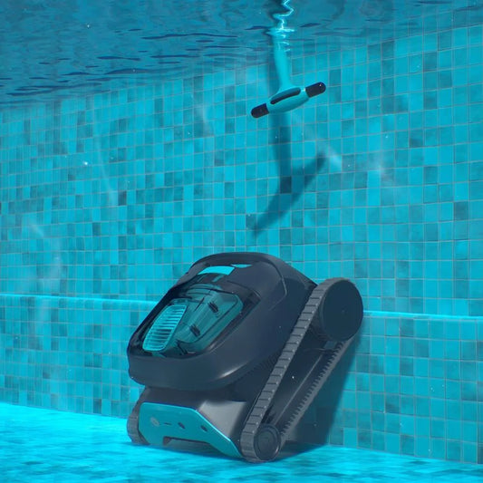 Clicker di Richiamo Dolphin LIBERTY Click-Up™ Originale Maytronics